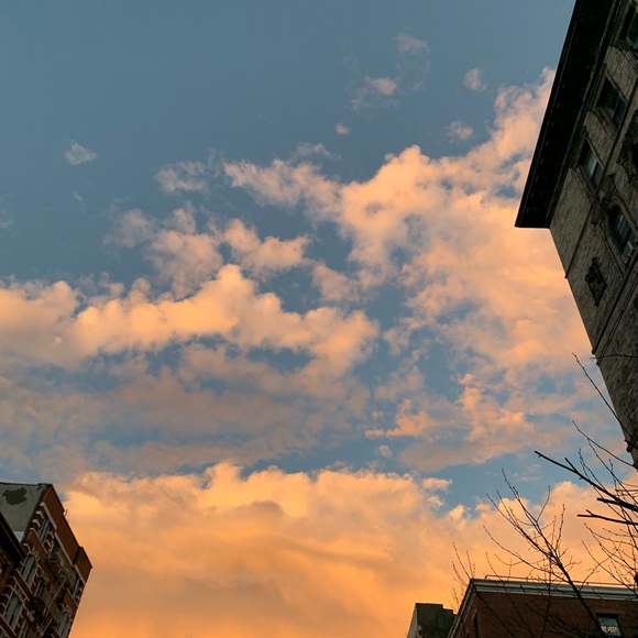 Meet your Posher, Gabriela - Picture 2 of 2